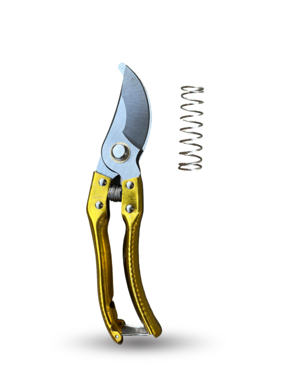 Secateur (Pruning Cutter) - সিকেচার (প্রুনিং কাটার)