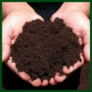 আগমনী ভার্মি কম্পোস্ট ১ কেজি - Vermi Compost 1KG
