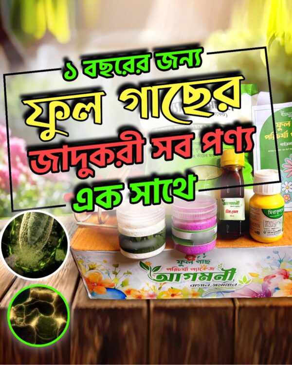 এক বছরের ফুল গাছের প্যাকেজ (Without Hoe)
